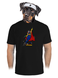 pánské sportovní tričko