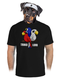 pánské sportovní tričko