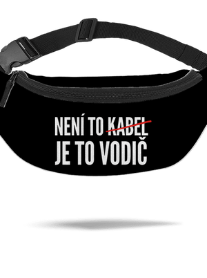 ledvinka