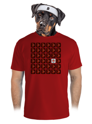 Pexeso pánské sportovní tričko Red Mal