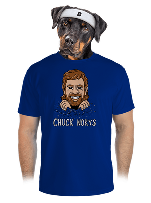 pánské sportovní tričko