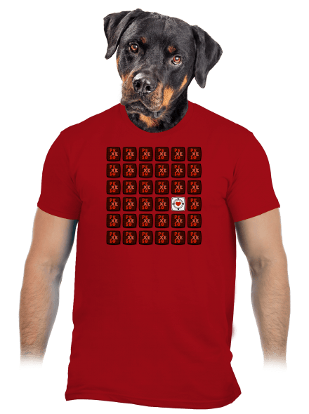 Pexeso pánské tričko Red