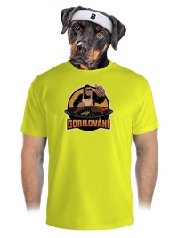 pánské sportovní tričko