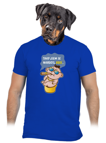 Boss pánské tričko Royal Blue