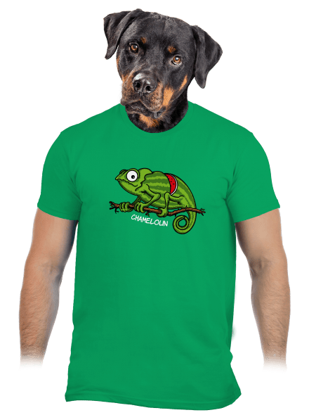 Chameloun pánské tričko Kelly Green