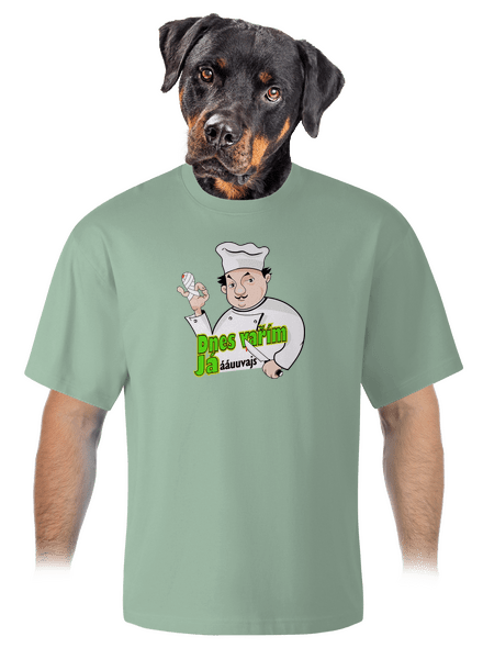 Dnes vařím já unisex tričko oversized Sage