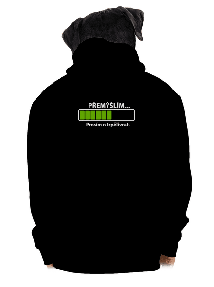 Přemýšlím pánská mikina na zip Black