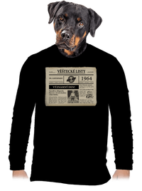 pánské dlouhý rukáv