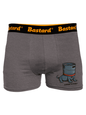 Štěně boxerky Gray Melange