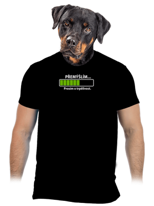 Přemýšlím pánské tričko Black