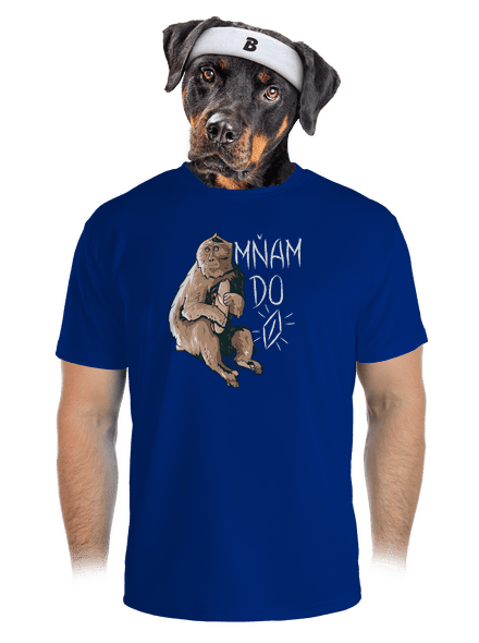 Mňam do p*** pánské sportovní tričko Royal Blue Mal