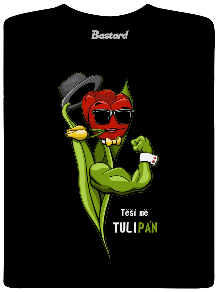 Sněženka a Tulipán pánské tričko Black