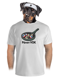 pánské sportovní tričko