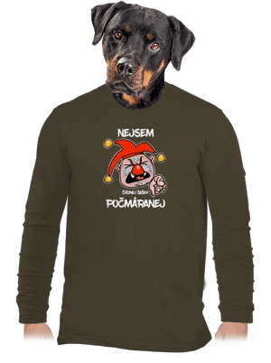 pánské dlouhý rukáv