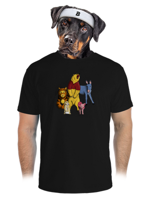 pánské sportovní tričko