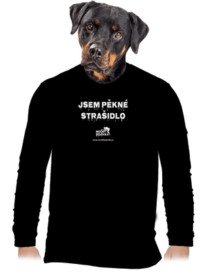 pánské dlouhý rukáv