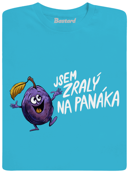Zralý na pánáka pánské tričko Swimming Pool