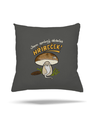 Babka a hříbeček polštář Gray Pol