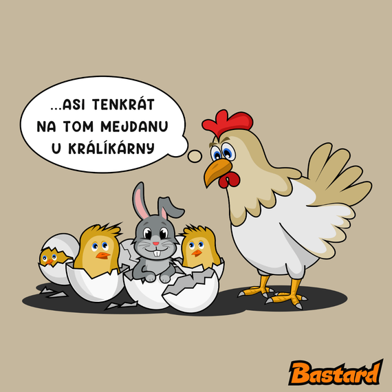 Mejdan u králíkárny