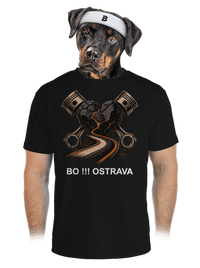 pánské sportovní tričko