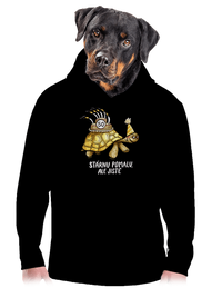 pánská mikina klokanka