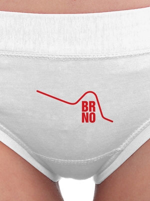 Brno dámské kalhotky White