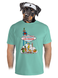 pánské sportovní tričko