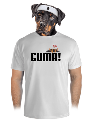 pánské sportovní tričko