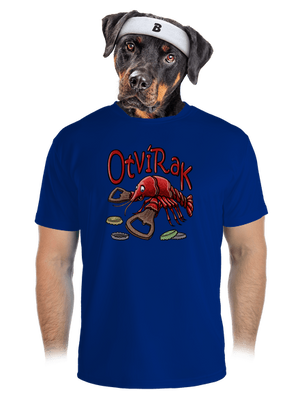 pánské sportovní tričko