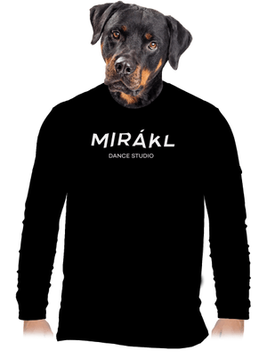pánské dlouhý rukáv