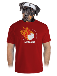 pánské sportovní tričko