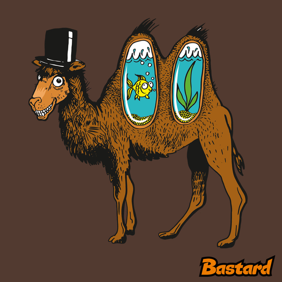 Velbloudí tajemství