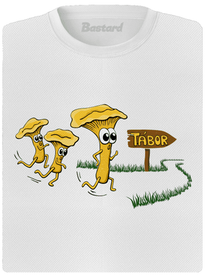 Běží lišky k Táboru dámské sportovní tričko White