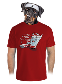 pánské sportovní tričko