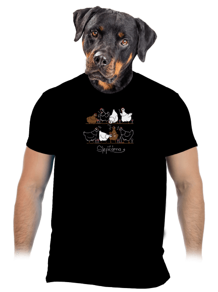 Slepičárna pánské tričko Black