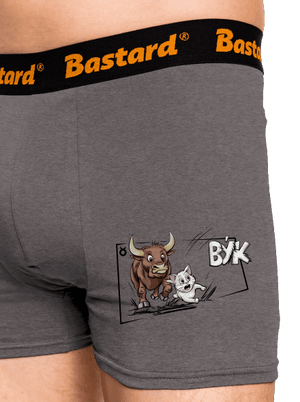 Kočičí horoskop: Býk boxerky Gray Melange