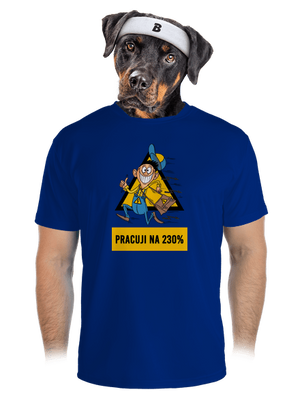 pánské sportovní tričko