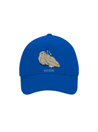 kšiltovka baseballka
