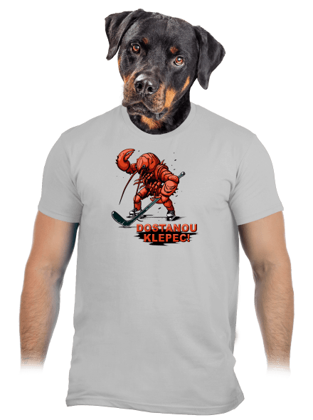 Dostanou klepec pánské tričko Pacific Grey