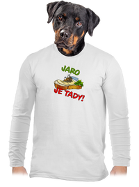 pánské dlouhý rukáv