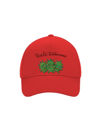 kšiltovka baseballka