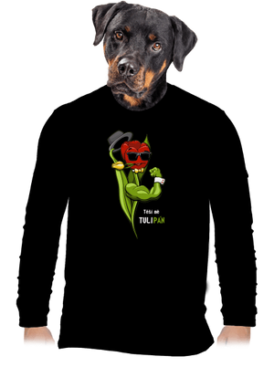 pánské dlouhý rukáv