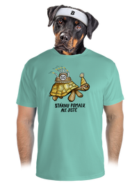 pánské sportovní tričko