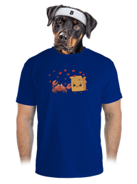 pánské sportovní tričko