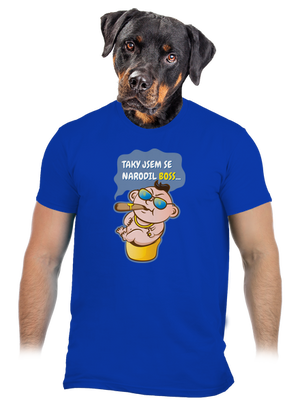 Boss pánské tričko Royal Blue