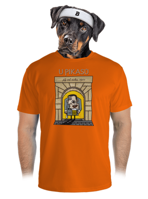 pánské sportovní tričko