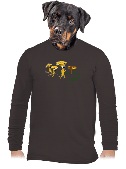 Běží lišky k Táboru pánské dlouhý rukáv Bear Brown