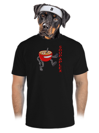 pánské sportovní tričko