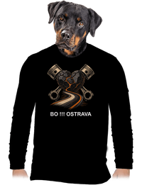 pánské dlouhý rukáv