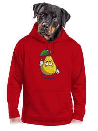 pánská mikina klokanka
